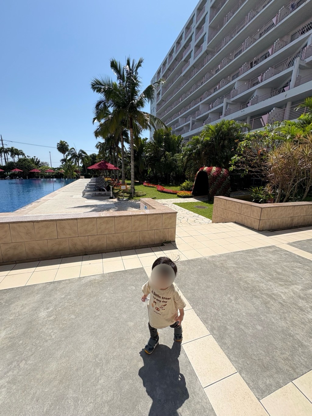 🚍レンタカー不要！高速バスで巡る沖縄旅